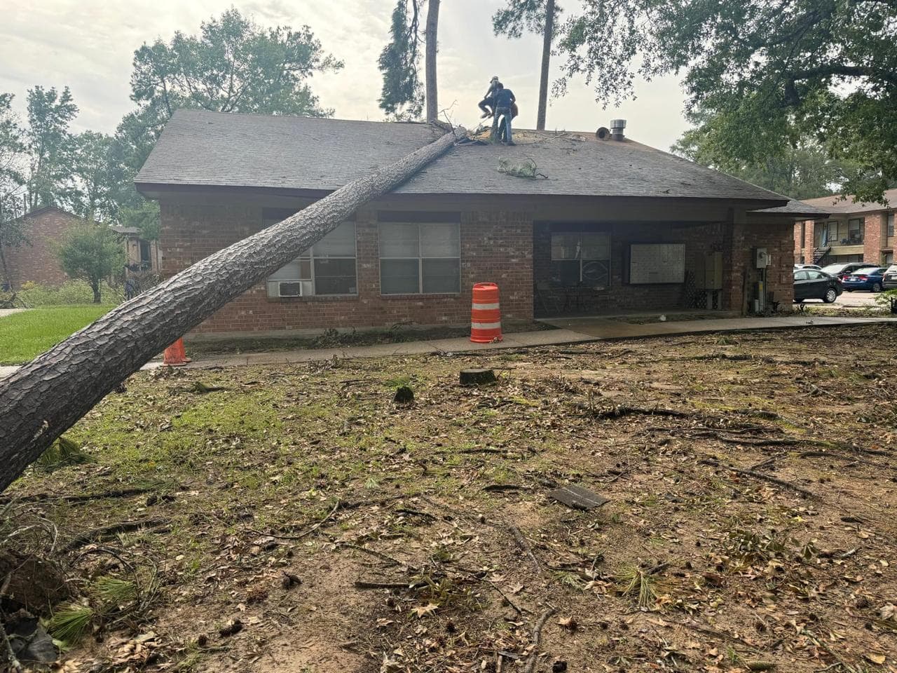 EG Tree Services crew member on a roof cutting apart a pine that fell across a brick house during a storm